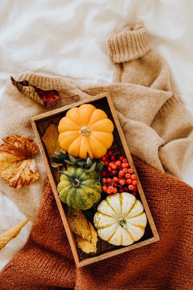 Sélection pulls femme d'automne